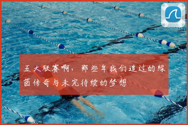 五大联赛啊，那些年我们追过的绿茵传奇与未完待续的梦想